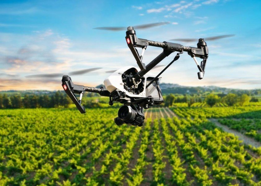 Brasil: O papel da tecnologia e dos produtos financeiros na evolução do agronegócio brasileiro